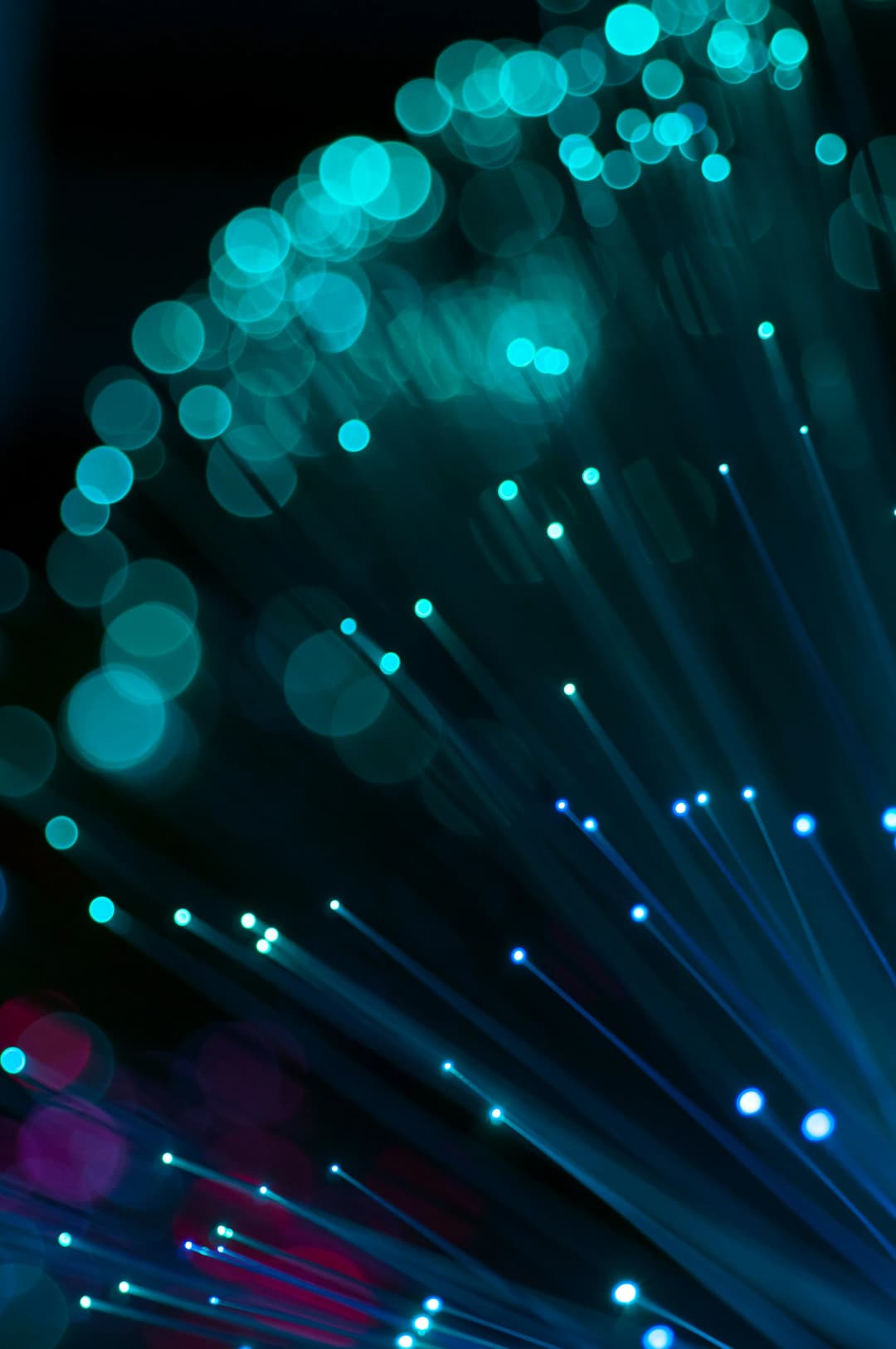 Câbles fibre optique et infrastructure réseau ultra-haut débit pour entreprise